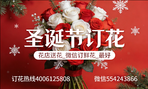营口站前区花店送花_微信订鲜花_圣诞节订花_最好? 营口站前区花店